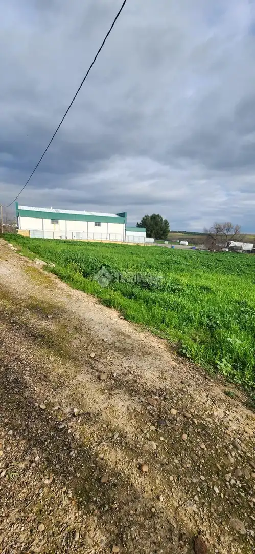 Terreno industrial en venta en Écija