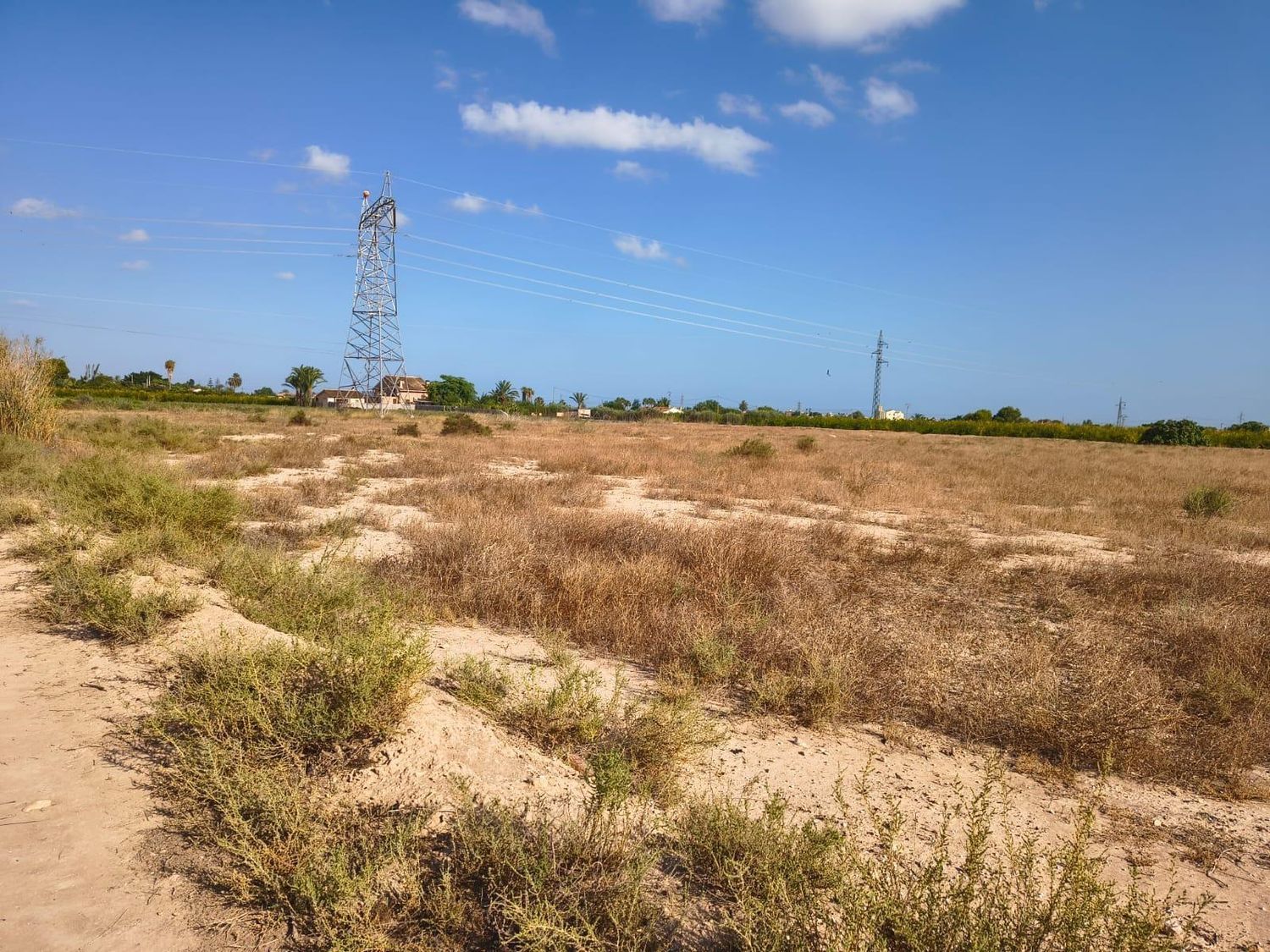 Residential for sale in Elche / Elx