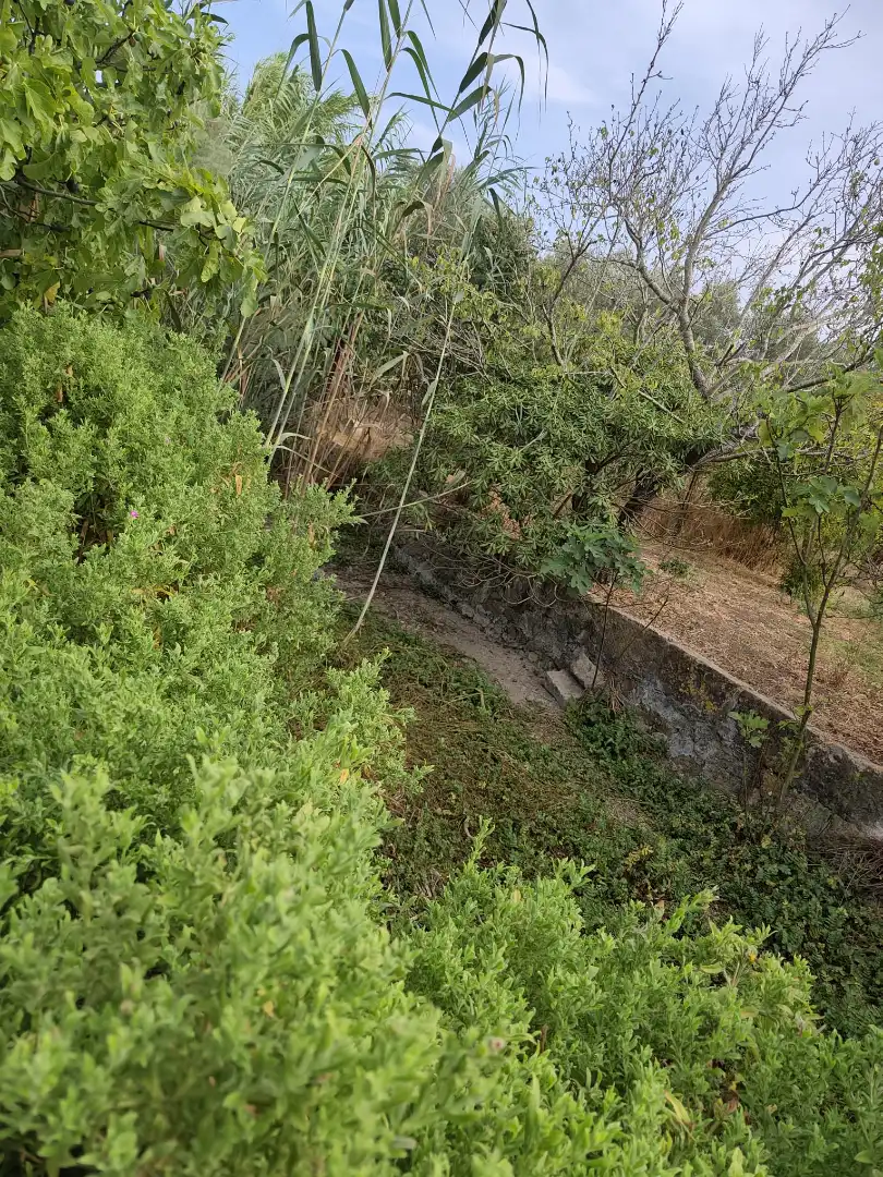 Grundstücke zum Verkauf in Sa Pobla