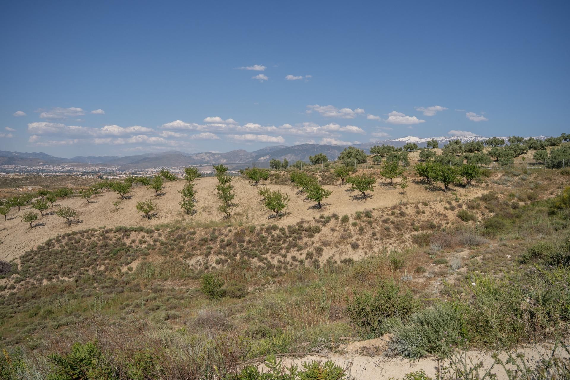 Grundstücke zum verkauf in Alhendín