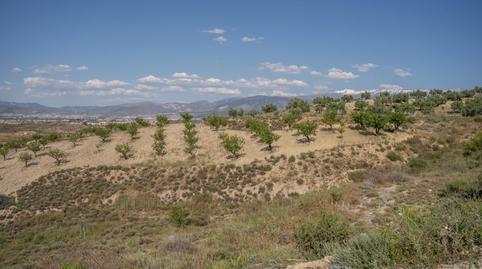 Foto 2 de Terreno en venta en  Alhendín, Ayuntamiento, Alhendín