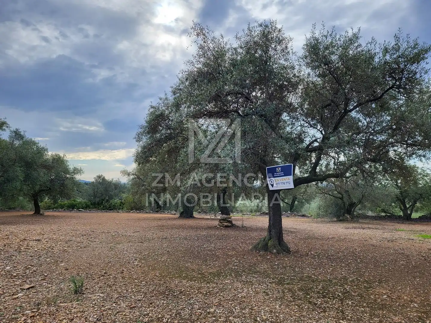 Casa rústica en venta en Traiguera, imagen 9