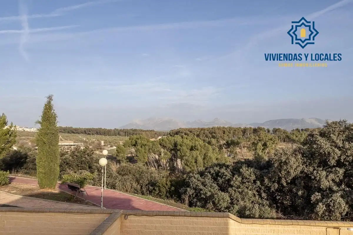 Detached house with pool for sale in Calle Calle Venus, imagen 41