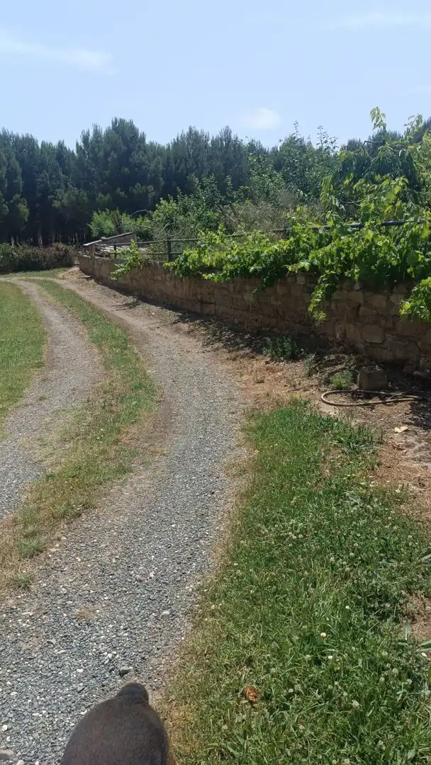Casa o xalet en venda en  Logroño amb Calefacció i Traster