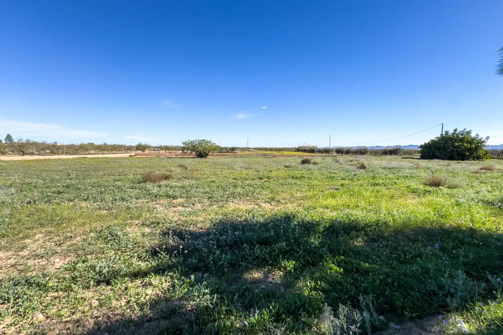 Country homes for sale in Fuente Álamo de Murcia  with Air Conditioner, Private garden and Storage room