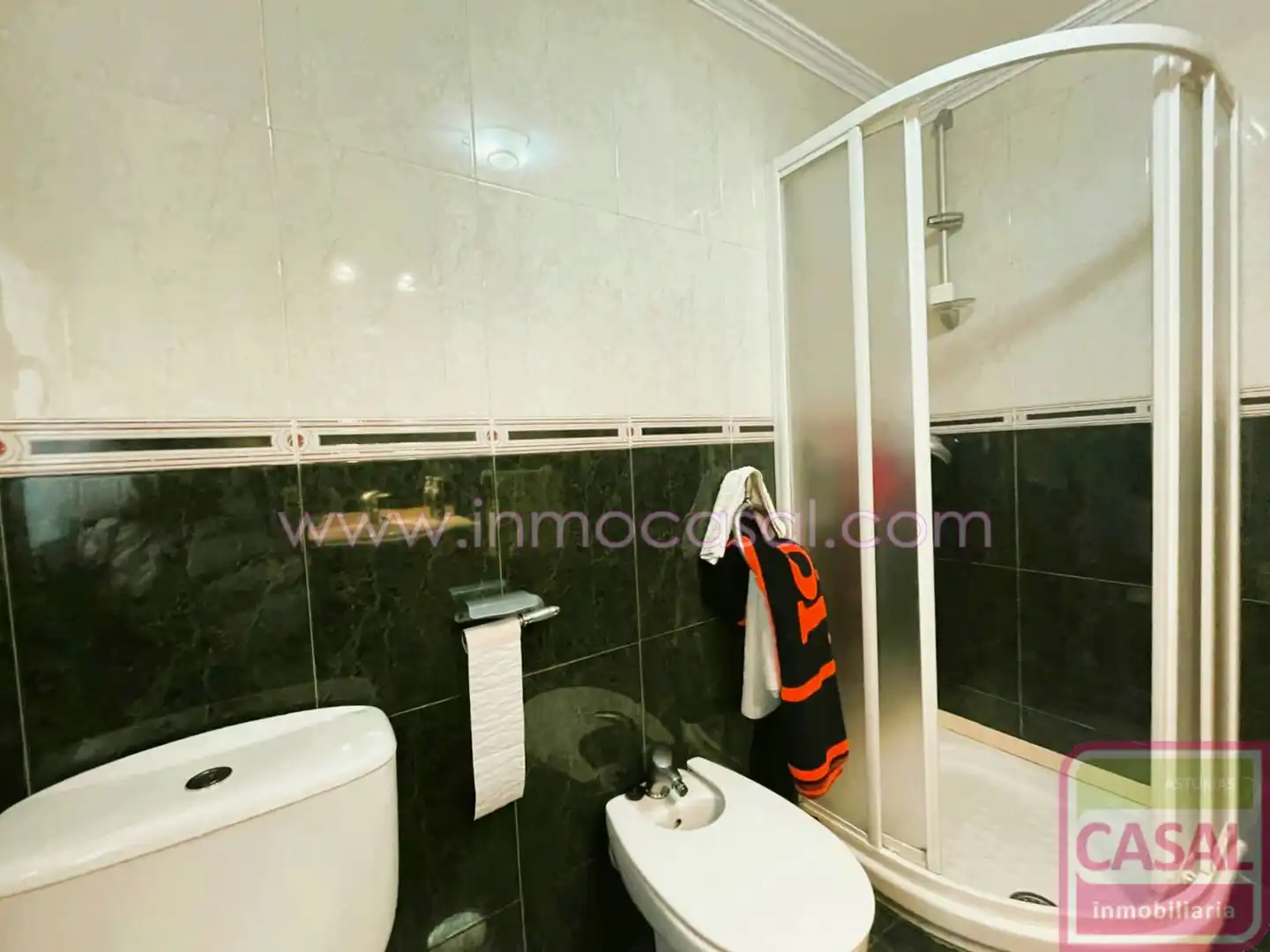 Bathroom of Flat for sale in Mieres (Asturias)  with Heating, Storage room and Furnished