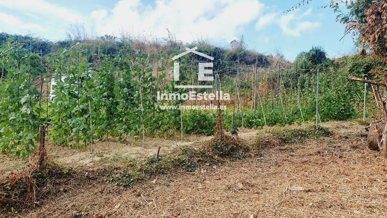 Rural land for sale in Zuloandia, imagen 9