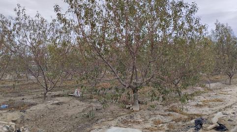 Photo 5 of Country house for sale in Totana, Murcia