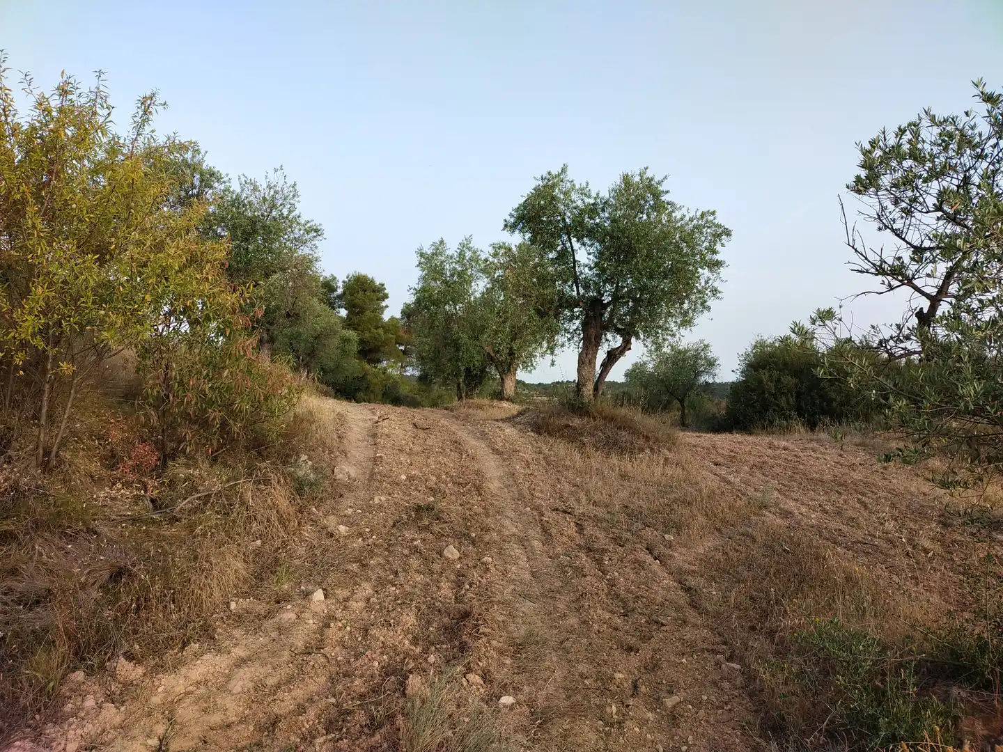 Terreno rústico en venta en Cervià de Les Garrigues, imagen 3