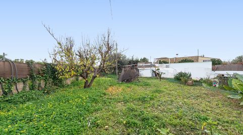 Foto 4 de Finca rústica en venta en Marratxinet, Marratxí