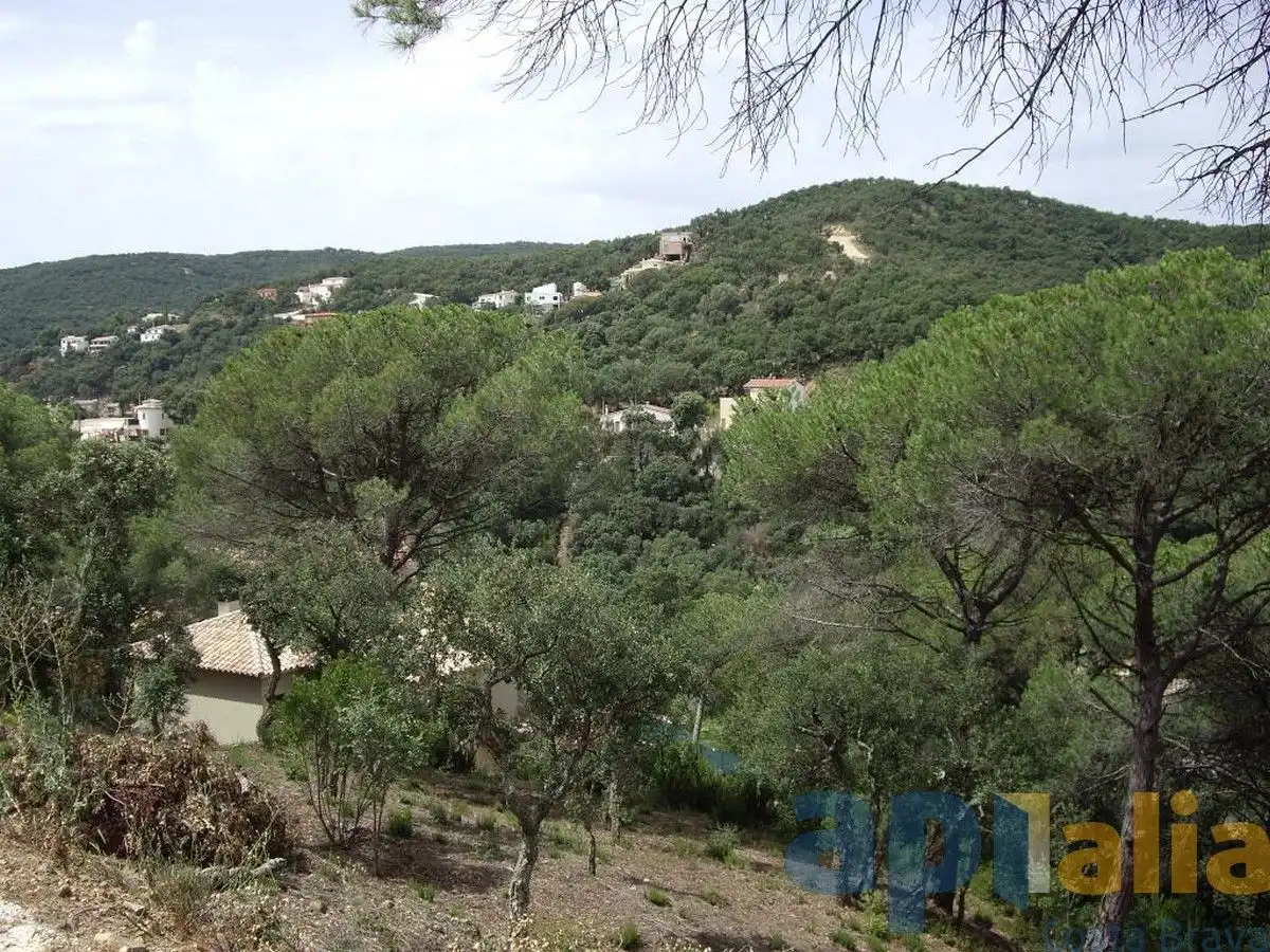 Residential land for sale in Carrer Alzina, imagen 9
