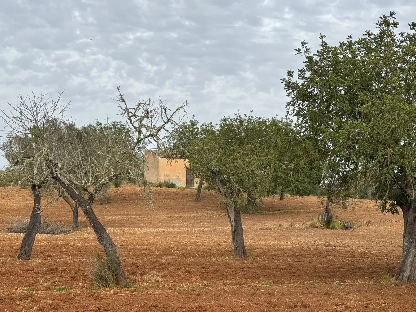 Rustikales Grundstück zum Verkauf in Camino Camí Vell de Porreres 2, imagen 30