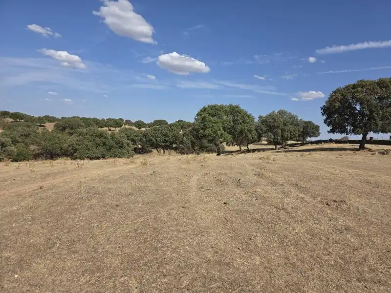 Terreni e lotti in vendita a Alcántara, imagen 36