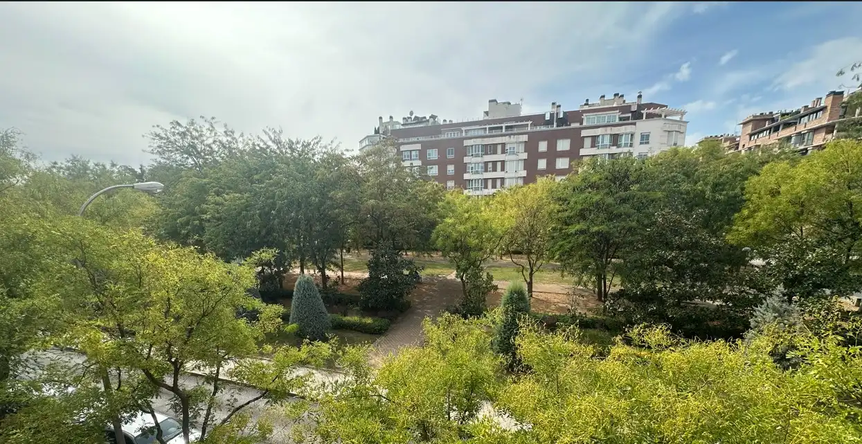 Jardí de Pis en venda en Madrid amb Aire condicionat, Calefacció i Jardí privat
