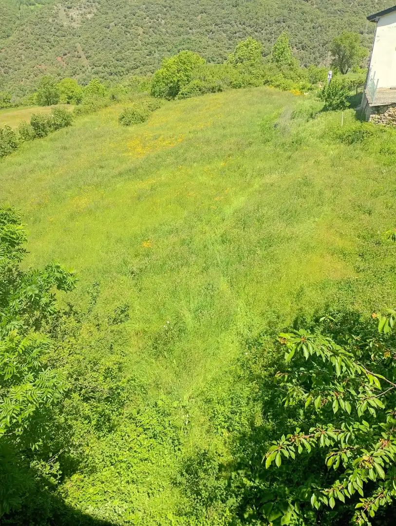 Casa o xalet en venda en Soriguera amb Terrassa i Traster