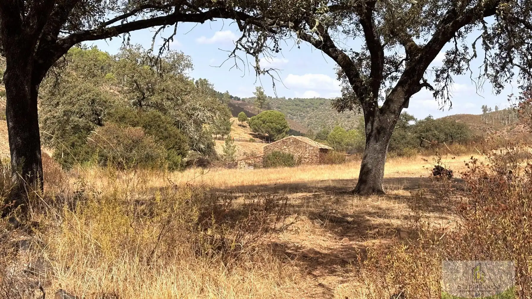 Finca rústica en venta en Berrocal
