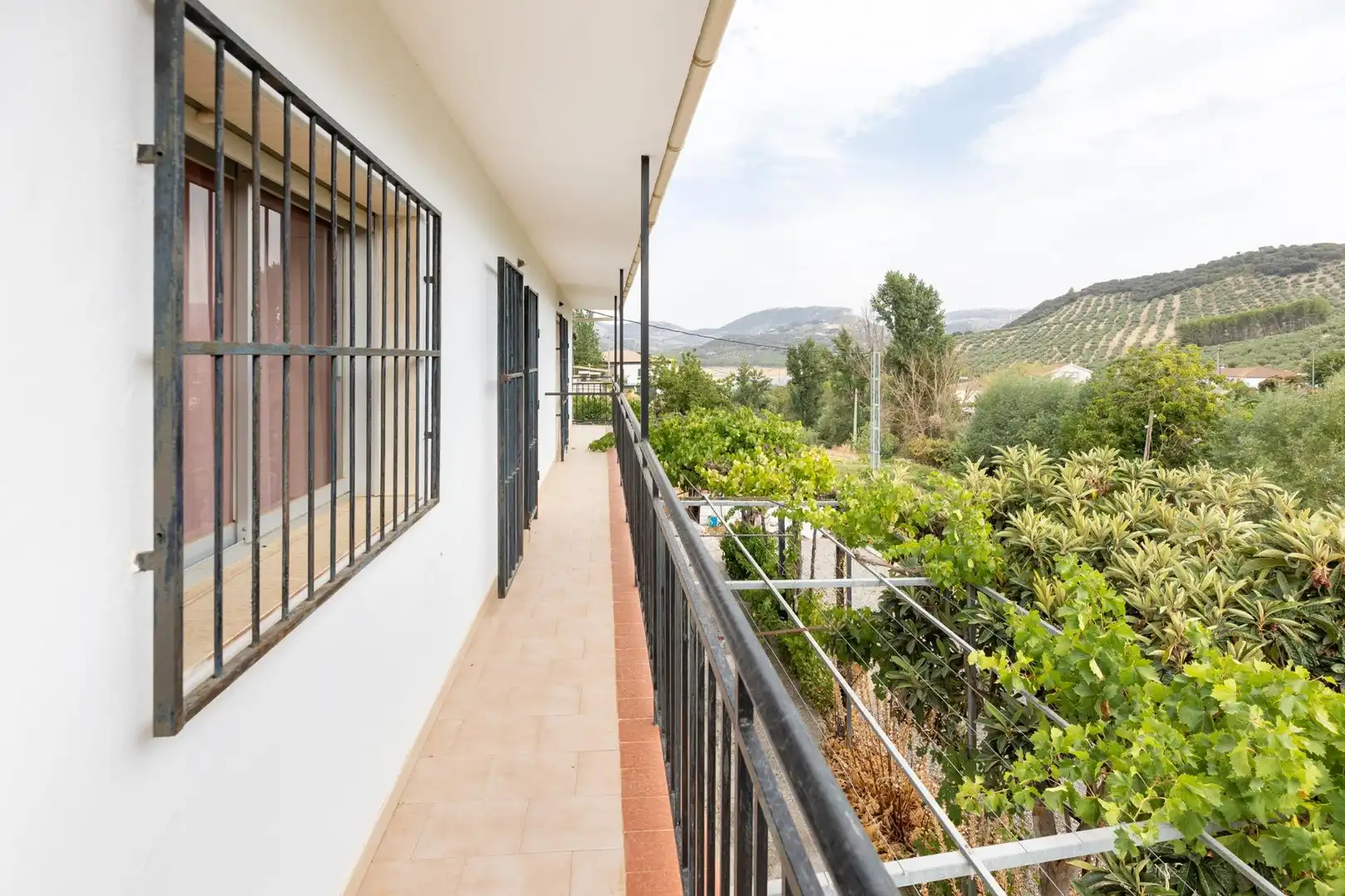 Casa rustica in vendita a Colomera, imagen 12