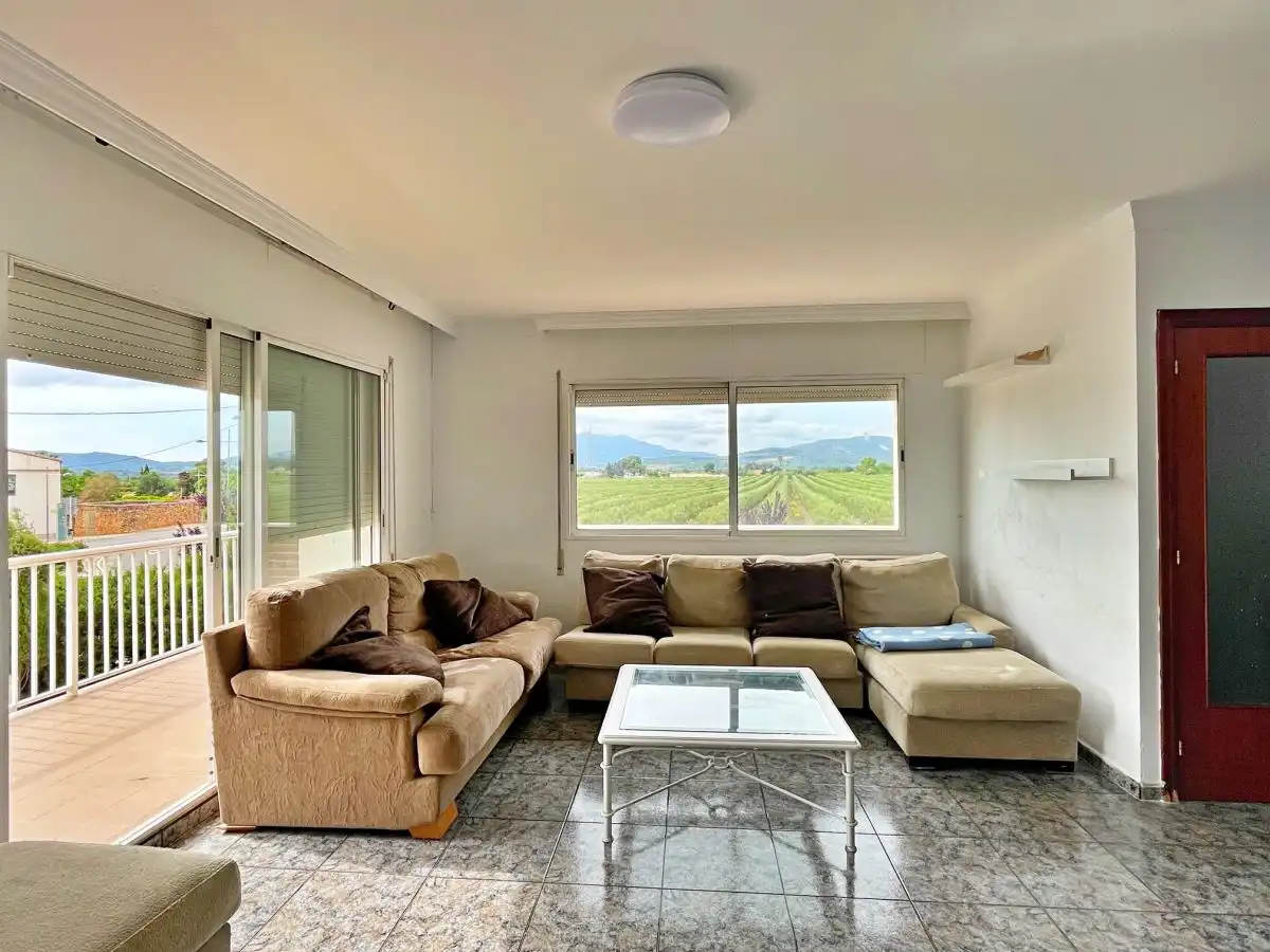 Sala d'estar de Casa o xalet en venda en Santa Bàrbara amb Terrassa