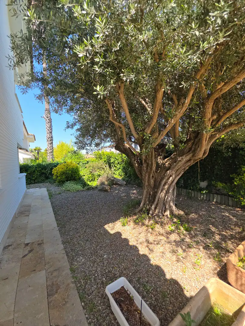 Jardín de Casa o chalet en venta en El Masnou con Calefacción, Jardín privado y Parquet