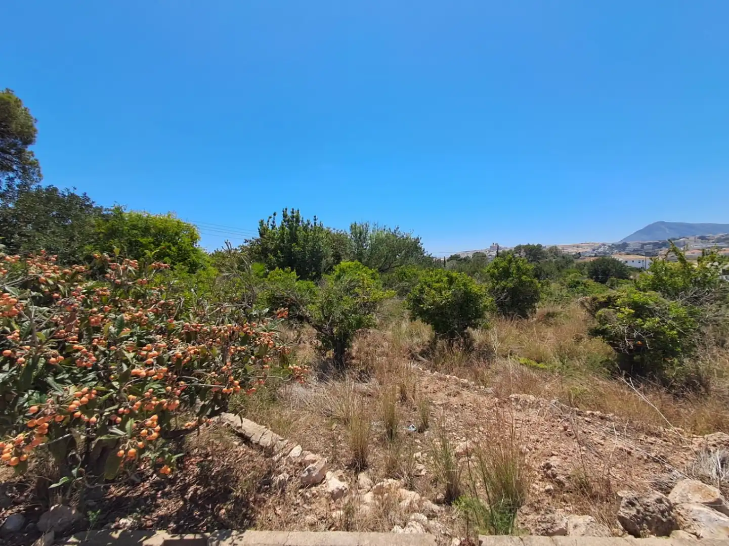 Terreny residencial en venda a Altea ciudad, imagen 5