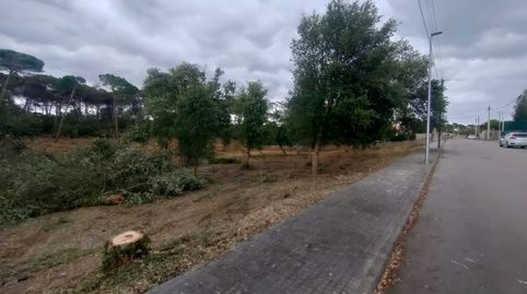 PARCELA DE 989M2 EN URB.KING PARK DE SILS, immagine 5