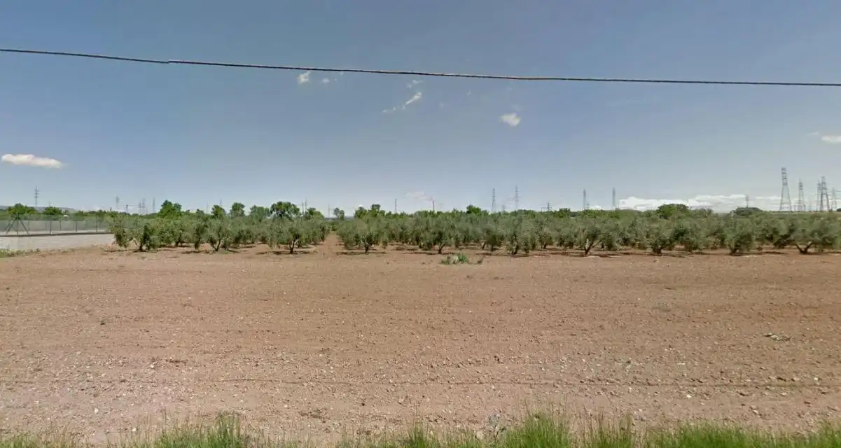 Terreno rustico in vendita a PAISOS CATALANS (DELS), imagen 3
