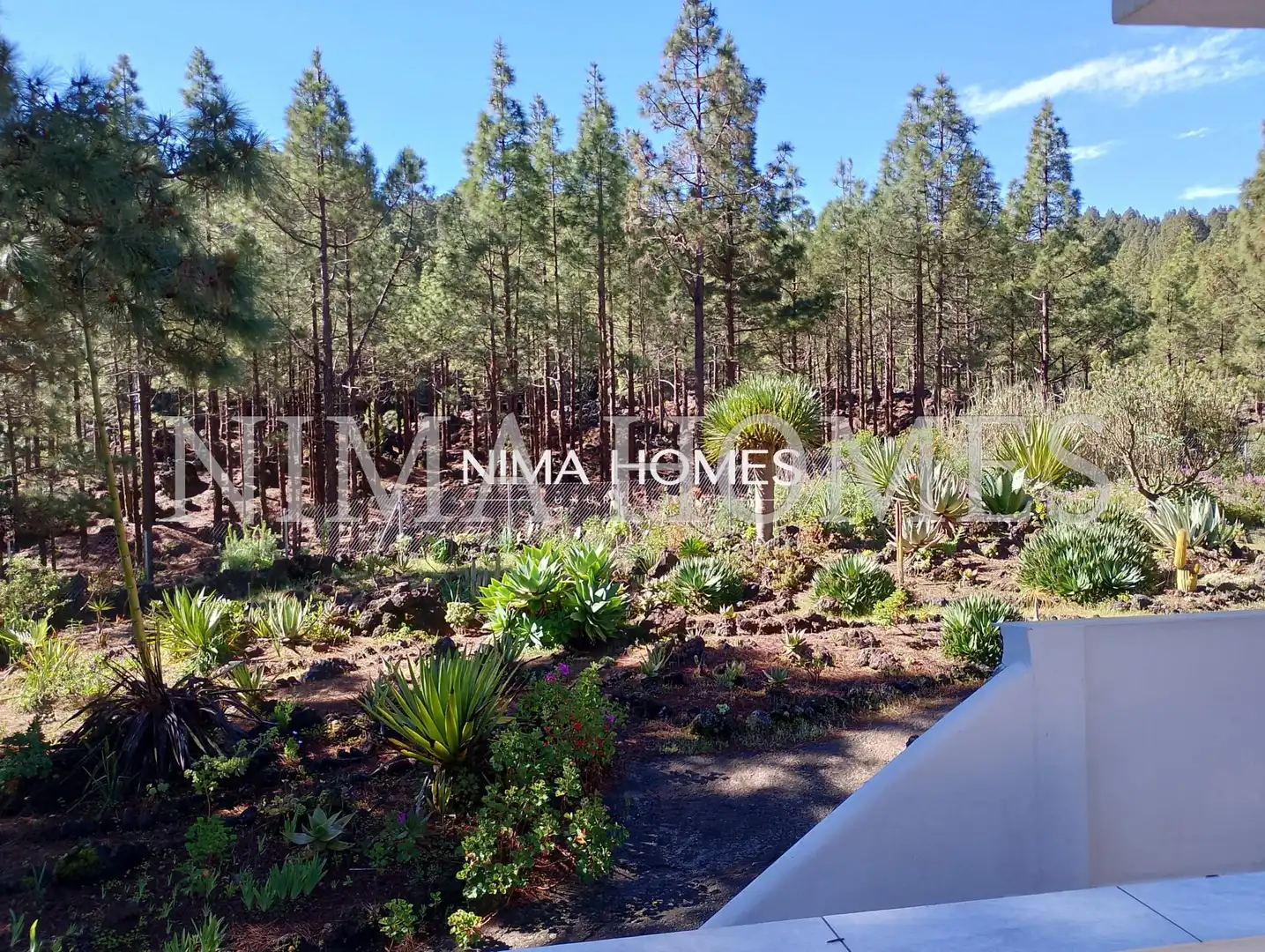 Maison rustique avec jardin à vendre à Montaña - Zamora, imagen 36