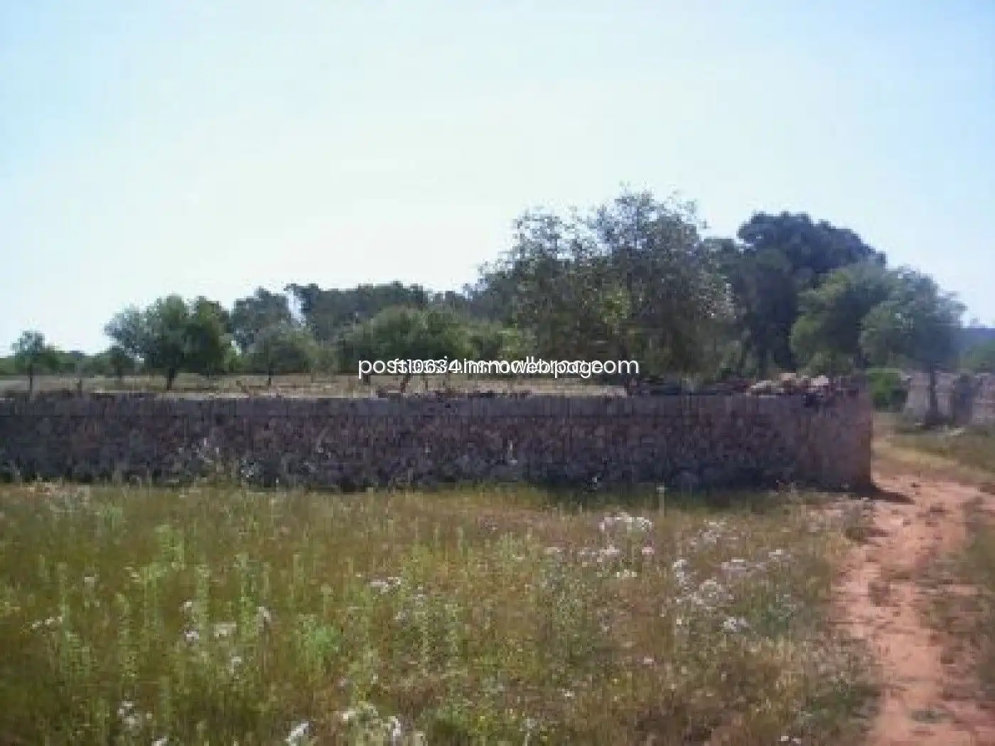 Terreno rustico in vendita a Algaida, imagen 15