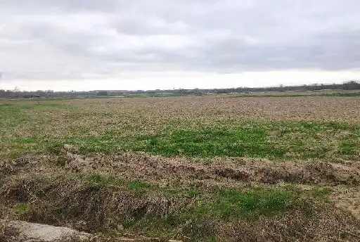 Terreny rústic en venda a C/ Paraje Las Raicillas- Las Peñuelas, imagen 7