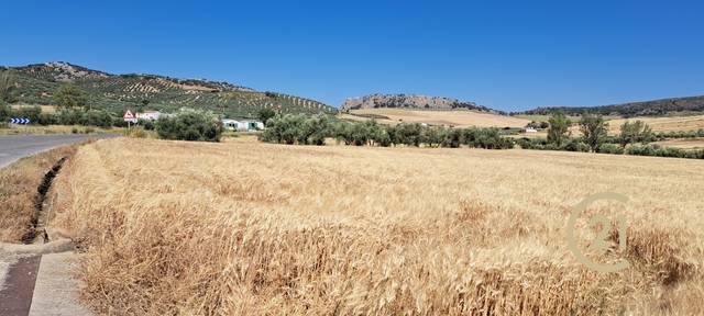 Terreno residencial en Venta en Carretera Ronda Campillos en Cuevas del Becerro