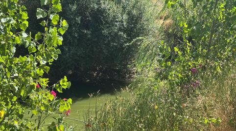 Foto 5 de Casa o xalet en venda a Malagón, Ciudad Real