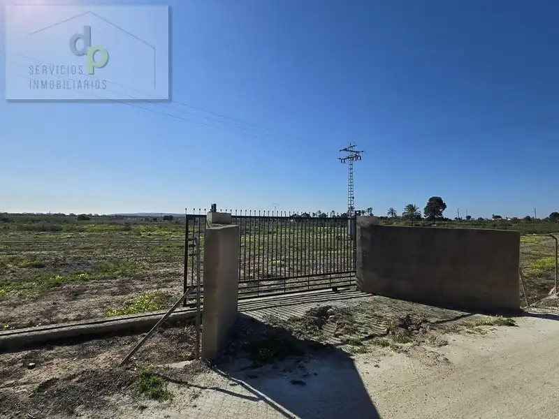 Grundstücke zur Miete in Elche / Elx