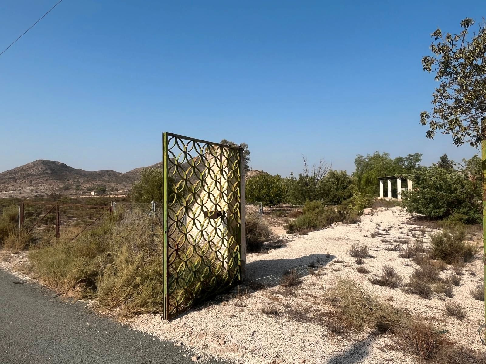 Jardí de Finca rústica en venda en San Vicente del Raspeig / Sant Vicent del Raspeig