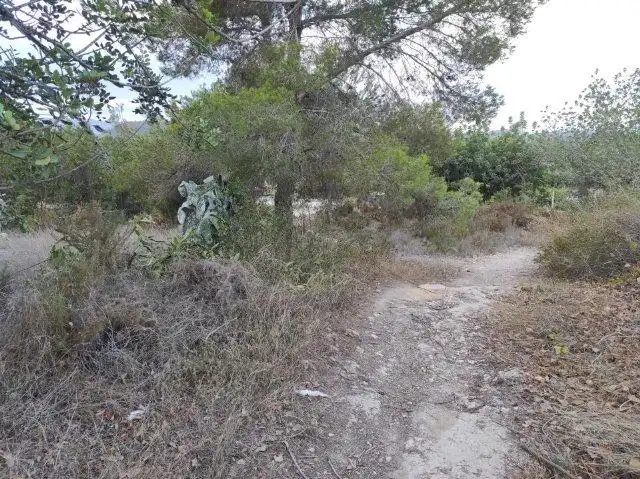 Terreny residencial en venda a Montserrat, imagen 6
