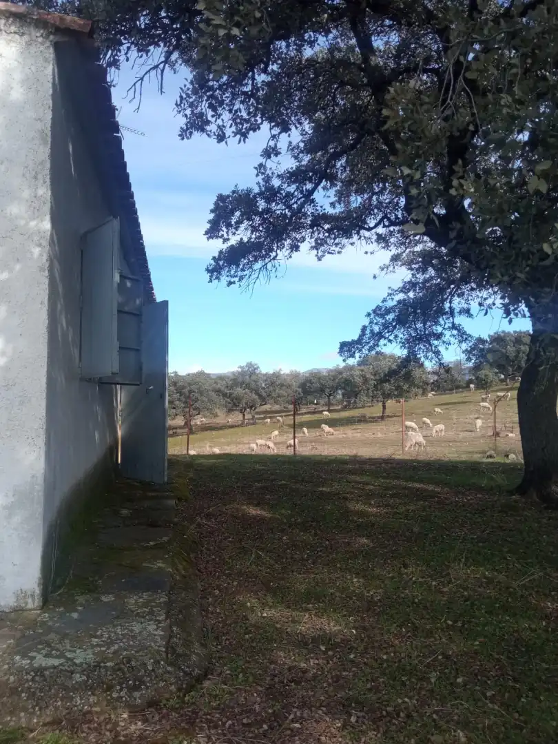 Exterior view of Land for sale in Cardeña