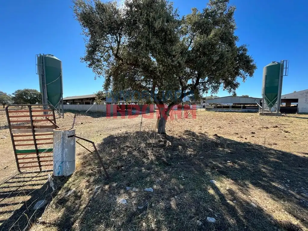 Haus zum Verkauf in Peraleda de la Mata, imagen 4