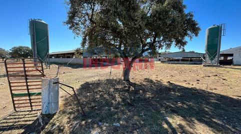 Photo 4 of Houses for sale in Peraleda de la Mata, Cáceres