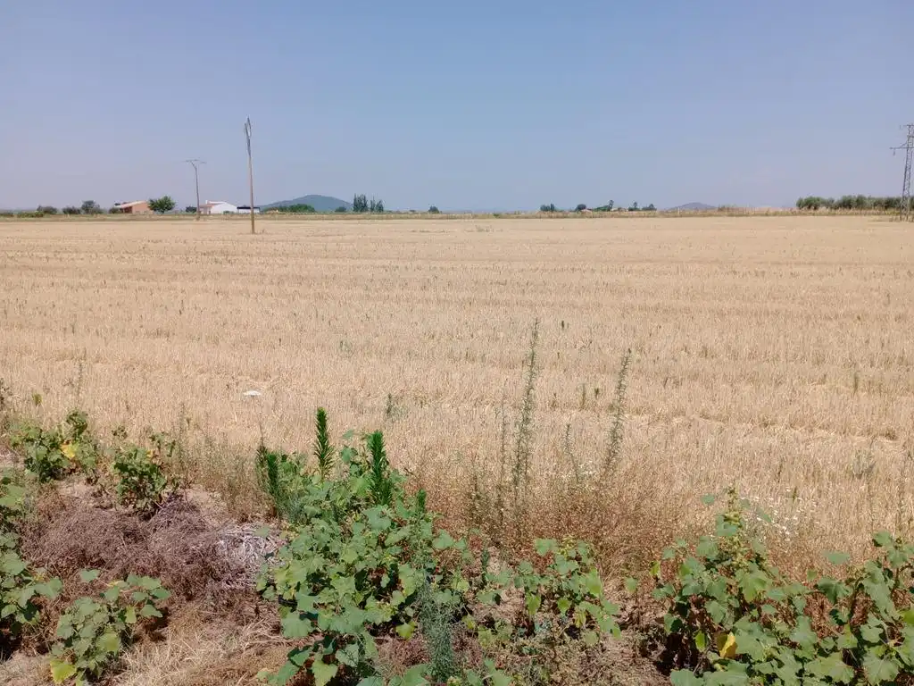 Terreno rustico in vendita a Mengabril, imagen 6