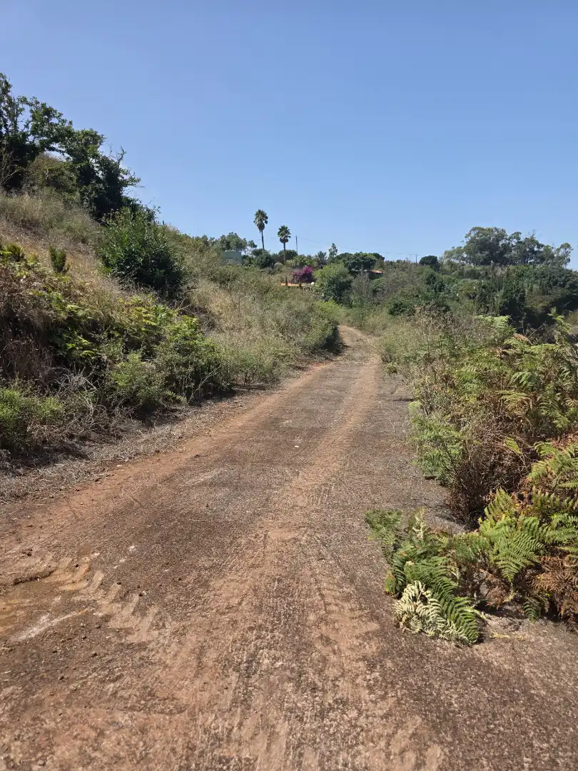 Rural land for sale in Camino las Peñuelas 11, imagen 36