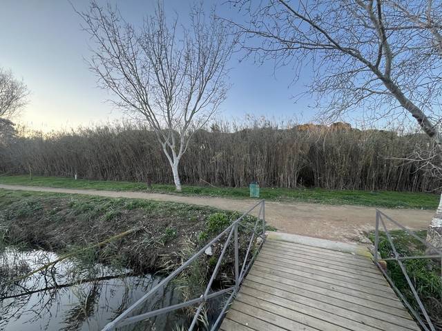 Terreno residencial en Venta en Carrer Coves en Empúries
