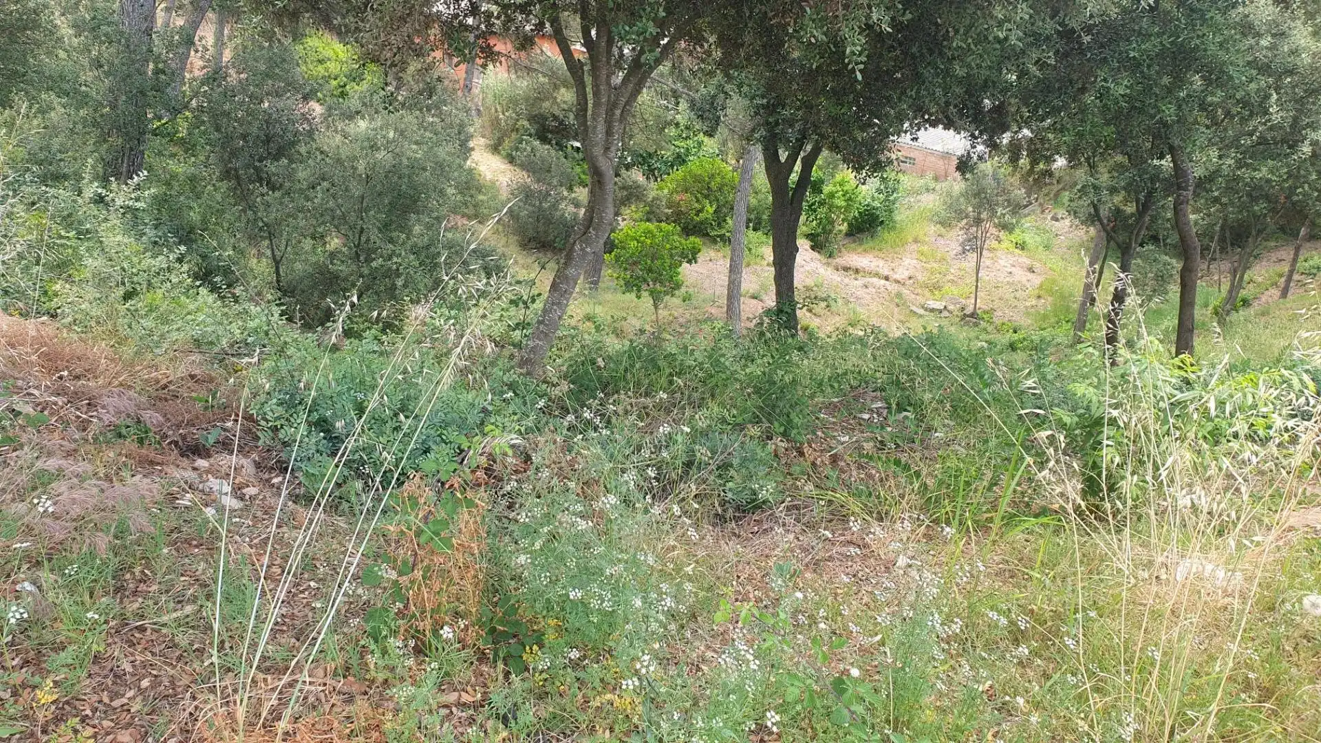 Residential for sale in Castellnou de Bages