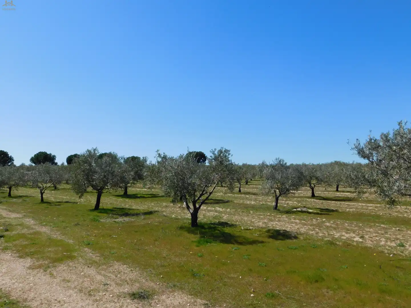 Terreno en venta en Villa del Prado
