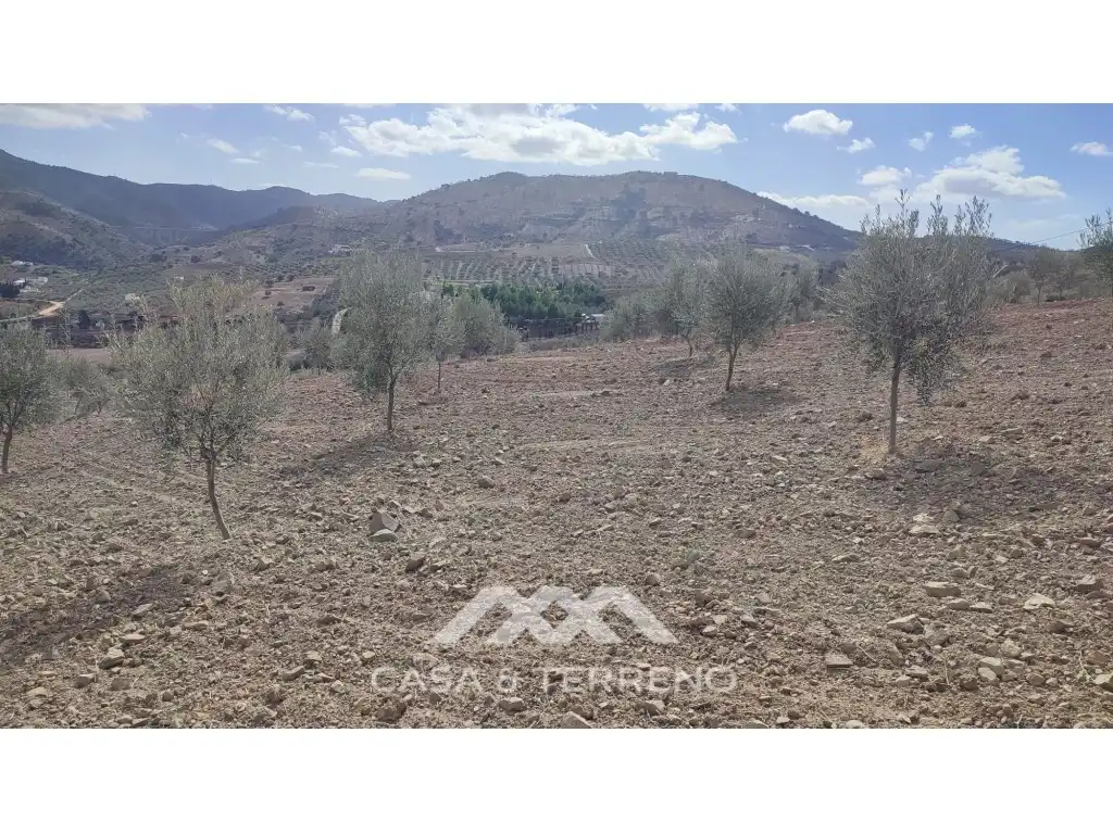 Terreni e lotti in vendita a Polígono 174 Parcela, imagen 24