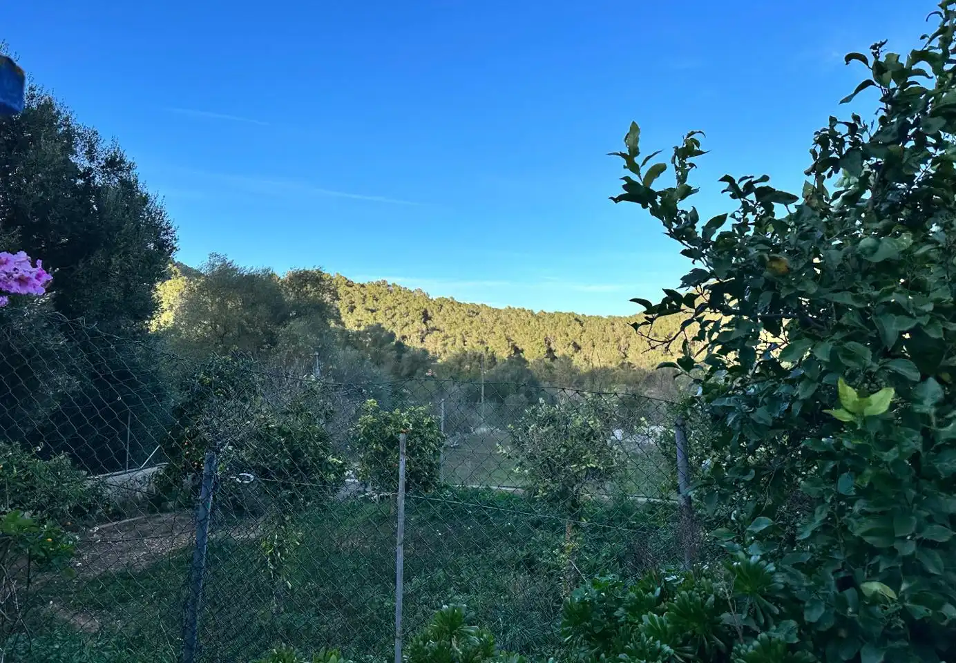 Finca rústica en venda a Sant Josep de sa Talaia, Illes Balears