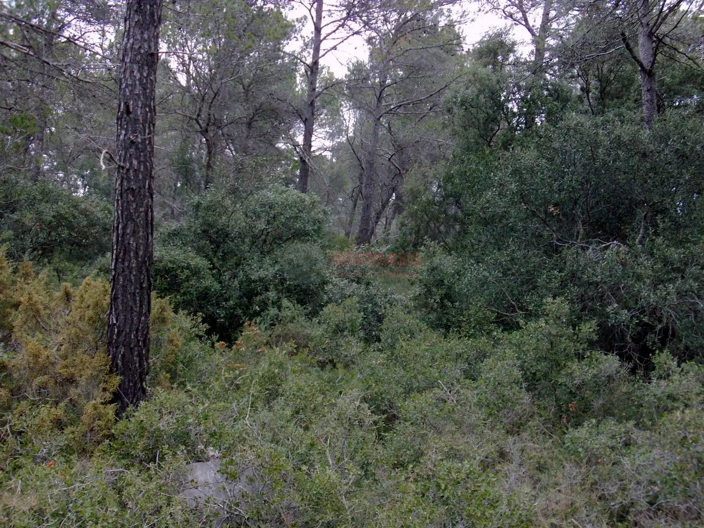 Terreni e lotti in vendita a Querol, imagen 6