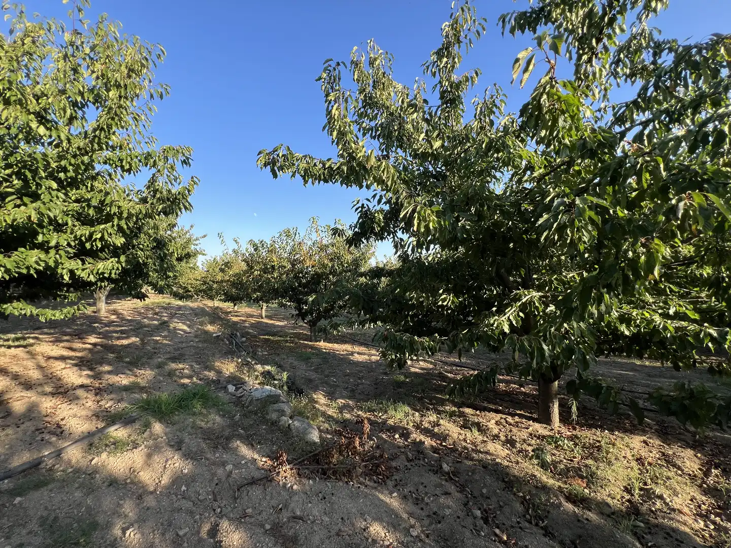 Terreni e lotti in vendita a Garganta la Olla, imagen 6