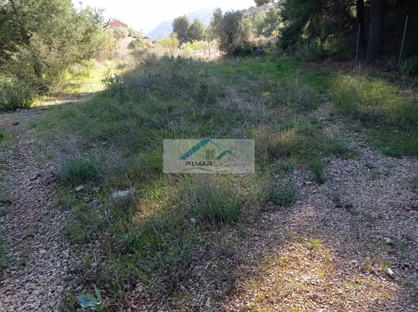 Terrenys i solars en venda a Monóvar  / Monòver, imagen 18