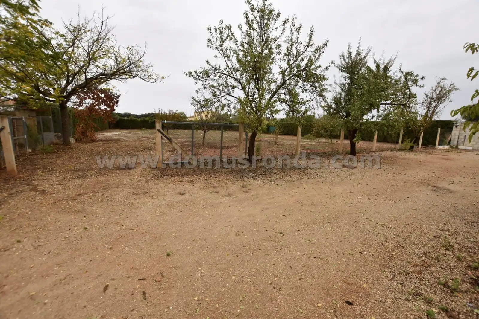 Casa rústica con piscina en venta en Partidas Norte, imagen 26