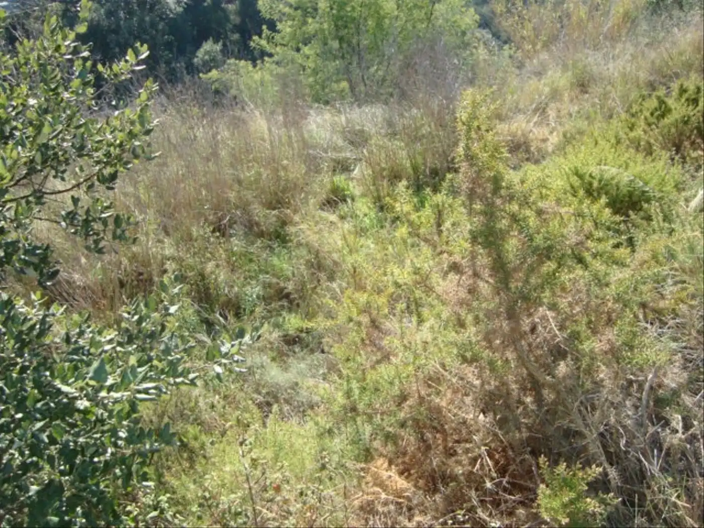 Terreno residencial en venta en Poble, imagen 3