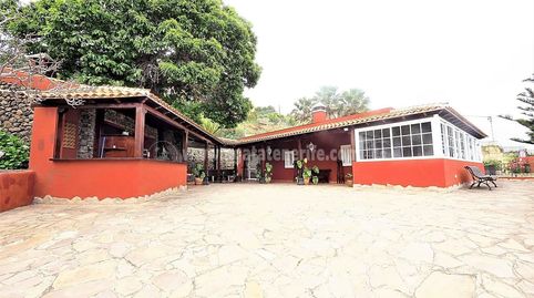 Foto 4 de Finca rústica en venta en La Vega - El Amparo - Cueva del Viento, Icod de los Vinos